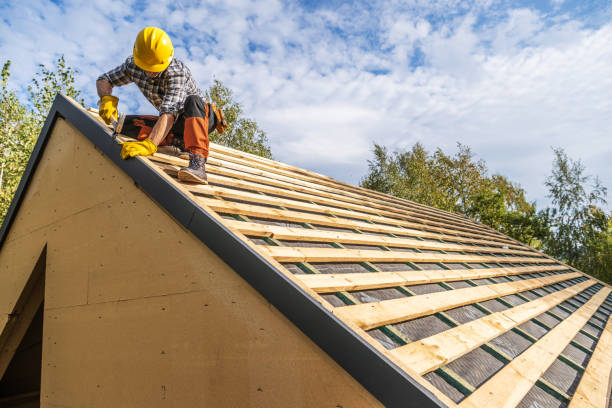 Best Storm Damage Roof Repair  in Fellsmere, FL